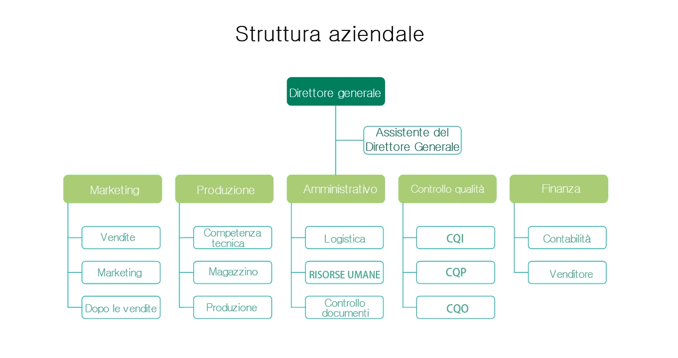 Struttura aziendale